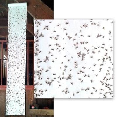 Vliegenrol met 10 meter kleef- vliegpapier